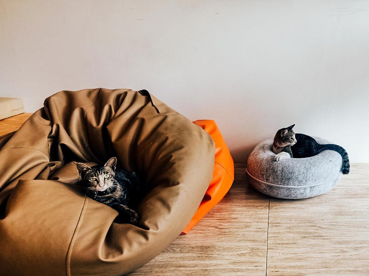 Paknap Hostel ナーン エクステリア 写真